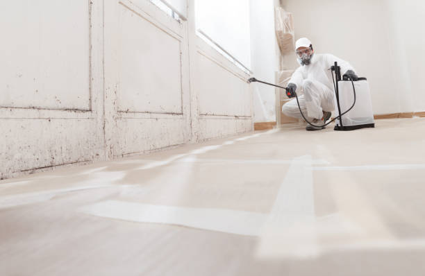24/7 Emergency Mold Removal experts in South Plainfield, NJ
